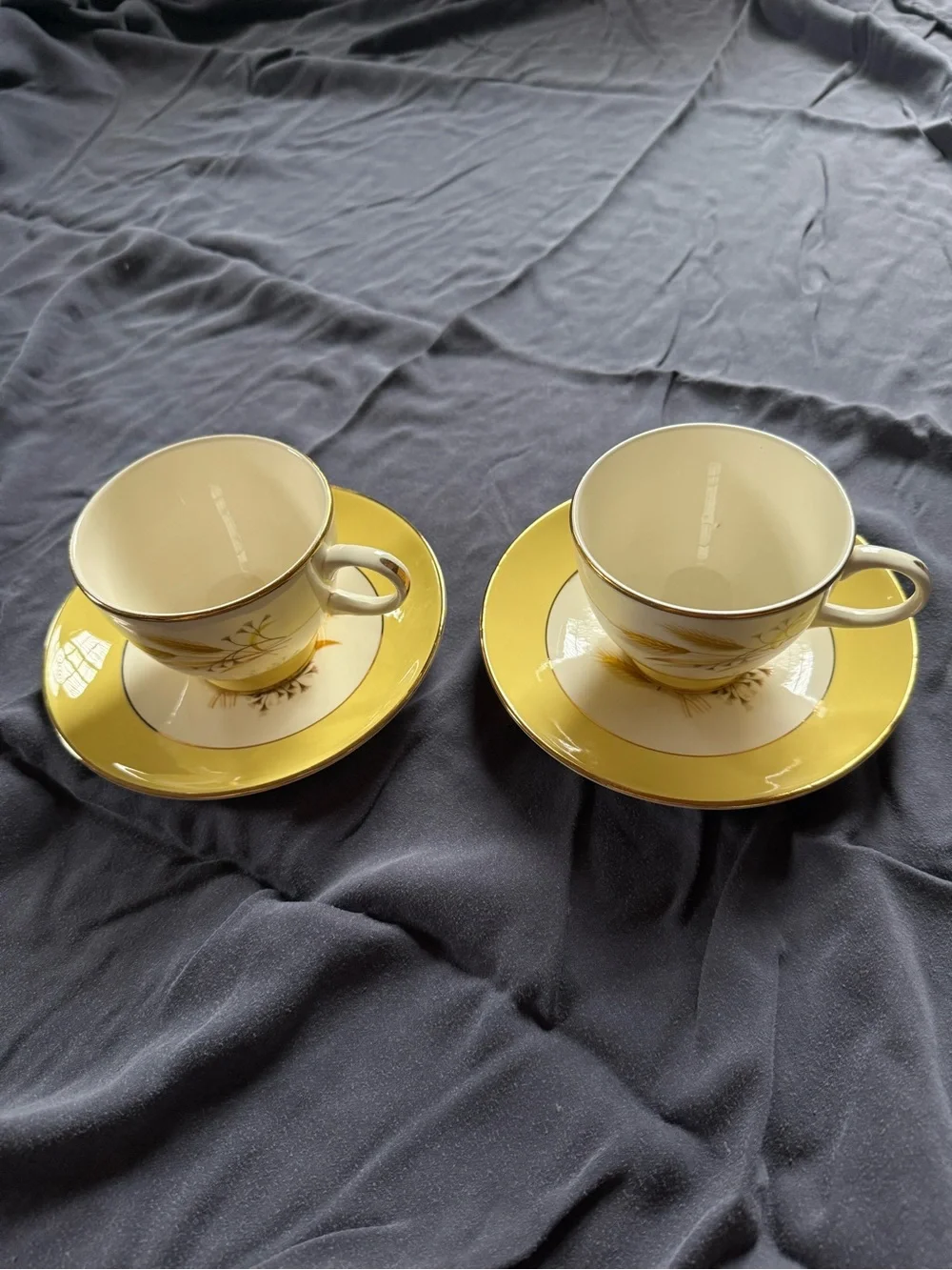 Century Service pair teacups